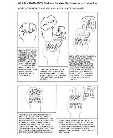 Model Of The Brain, Dan Siegel, Whole Brain Child, Health Care Tips, Counseling Kids, Green Zone, Health Care Products, Whole Brain Teaching, School Social Work