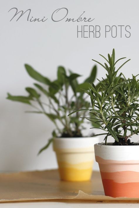 Diy Pots For Plants Paint, Diy Flower Pot Ideas, Painted Planter Pots, Boho Decor Diy, Recreational Therapy, Diy Keramik, Indoor Oasis, Plant Pot Design, Plant Pot Diy