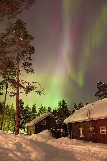 Lapland Finland, Northern Lights (aurora Borealis), Aurora Borealis Northern Lights, Cabin In The Woods, The Aurora, Beautiful Sky, Dream Destinations, Winter Scenes, Places Around The World