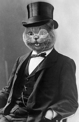 Cat People, Animal Heads, Happy Cat, Top Hat, Cool Cats, Cat Art, A Cat, Pet Portraits, Animals Wild