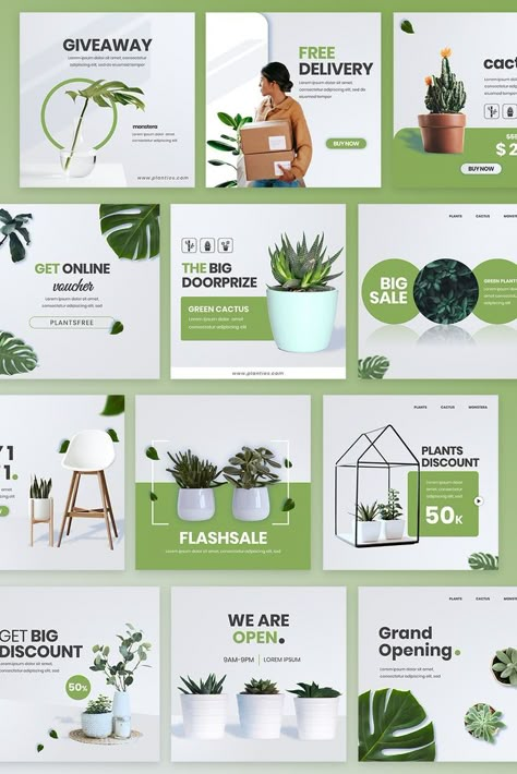 Improve your House Plants Business with fresh and consistent social media design, see the full portfolio, click the link on the title! Plants Business, Desain Merek, Social Media Branding Design, Email Template Design, Social Templates, Social Media Advertising Design, Newsletter Template, Social Media Post Design, Plant Shop