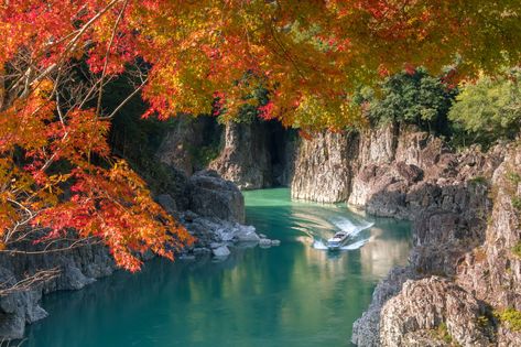 Yoshino-Kumano National Park | National Parks of Japan Skiing In Japan, Sea Of Japan, Summer Escape, Hot And Humid, Pilgrimage, Japan Travel, Natural Wonders, Geology, Wall Mural