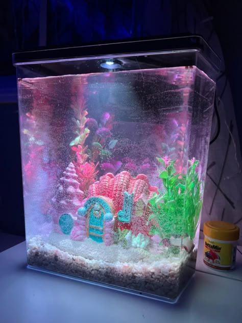 Pink Fish Tank Ideas, Cute Betta Fish Tank Ideas, Freshwater Fish Tank Ideas, Kawaii Fish Tank, 2000s Aquarium, Fish Perspective, Pink Fish Tank, Pink Terrarium, Kampung House