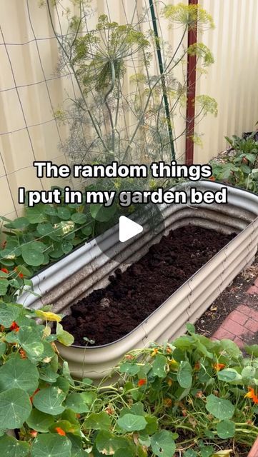 877K views · 29K likes | Yen | Beginner Gardener’s notebook on Instagram: "Here’s a way to fill garden beds cheaply using a version of the hugelkultur method; layering like a lasagna from the bottom  1. 📦thick layer of cardboard. Wetting the cardboard will assist with removal of stickers. Don’t use glossy or heavily dyed cardboard.  💦 water throughout the layers 2. 🪵🌴Larger carbon material such as large logs, twigs  3. 🥀🌱 Plant/tree pruning - leafy green prunings, or spent plants, just ensure there are no plant diseases.  4. 🍂🗞️Smaller carbon material - brown leaves. Can also use dried grass clippings, sugar cane/lucerne mulch, “naked paper/cardboard” (unbleached, non glossy, non coloured) eg, news paper, shredded cardboard, paper towel rolls, toilet rolls.  5. ☕️🍌Coffee grounds! Layers Of Garden Bed, Cardboard Garden Bed, Cardboard In Garden, Veg Gardens, Lasagna Gardening, Growing Greens, Plant Medicine, Garden Vegetables, Brown Leaves