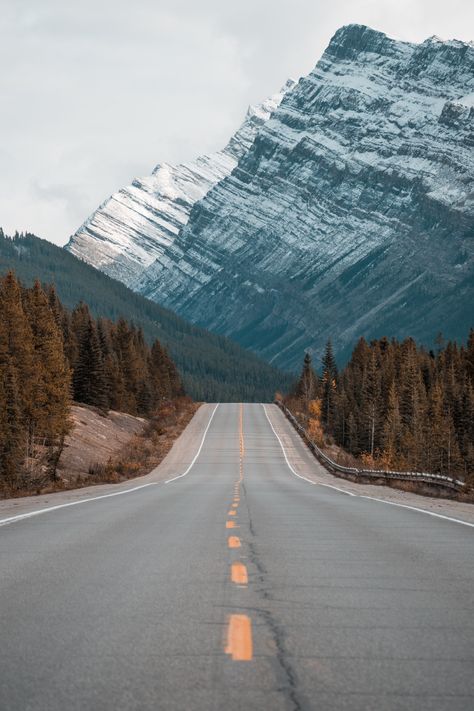 A tree-lined mountain road with snowcapped mountains in the background Iphone Wallpaper Mountains, Road Trip France, Road Pictures, European Road Trip, Icefields Parkway, Road Trip Planner, Mountain Pictures, Christmas Markets Europe, Mountain Wallpaper