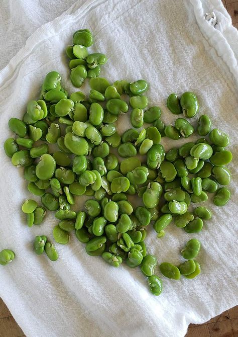 Favs Beans Recipe, How To Cook Fava Beans, Faba Beans Recipes, Fresh Fava Bean Recipe, Favs Beans, Fava Bean Recipe, Gigante Beans, Fava Beans Recipes, Whole30 Meals