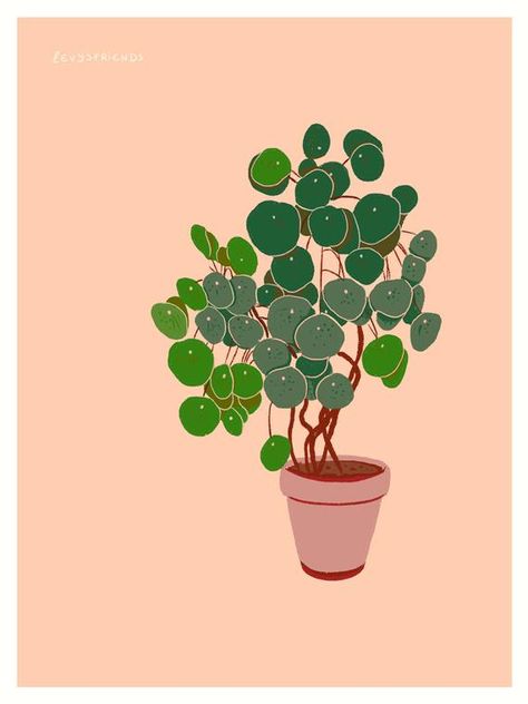 Houseplant Art, Custom Portrait Illustration, Pilea Peperomioides, Plant Tattoo, Watercolor Graphic, Botanical Decor, Plant Wallpaper, Plant Drawing, Tree Illustration