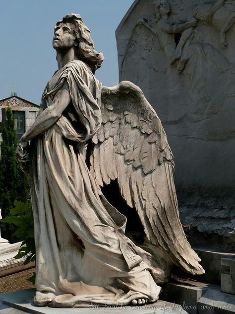 Female Statue Aesthetic, Cemetery Statues, Classic Sculpture, Greek Statues, Angel Statue, Rennaissance Art, Angel Sculpture, Aspects Of Life, Cemetery Art