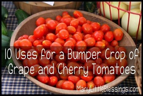 10 uses for a bumper crop of grape and cherry tomatoes Canning Grape Tomatoes, Grape Tomato Recipes, Canning Cherry Tomatoes, Canning Tomatoes Recipes, Tomatoes In Containers, Preserving Tomatoes, Tomato Salsa Recipe, Tomatoes Recipes, Freezing Vegetables