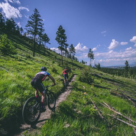 Cranbrook Community Forest - Discover the Kootenay Diversity Fitness Trail, Cycling Quotes, Bike Poster, Biking Outfit, I Want To Ride My Bicycle, Road Bike Cycling, Life Board, Mountain Bike Trails, Cycling Art