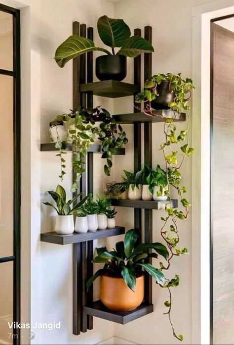 Living Room Plants Decor, Indoor Plant Wall, Plants Wall, Living Room Plants, Plant Decor Indoor, House Plants Decor, Apartment Decor Inspiration, Room With Plants, Plant Shelves