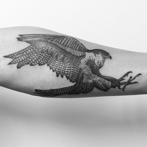 My Peregrine Falcon Tattoo |   Tattoo by Jerimiah Griswald @ White Whale Tattoo, Cincinnati OH Goshawk Tattoo, Falken Tattoo, Peregrine Falcon Tattoo, Kestrel Tattoo, Falcon Tattoo, Bird Tattoo Sleeves, Hawk Tattoo, Whale Tattoo