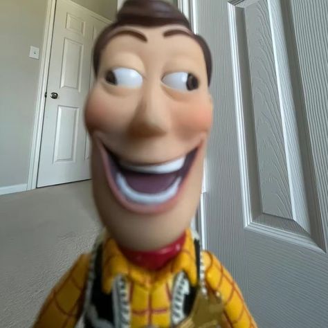 Woody Meme Funny, Meme Face Funny Icons, Pp Meme, Funny Short Video Clips, My Soulmate, Reaction Face, Silly Faces, Funny Cartoon Quotes, Hashtag Relatable