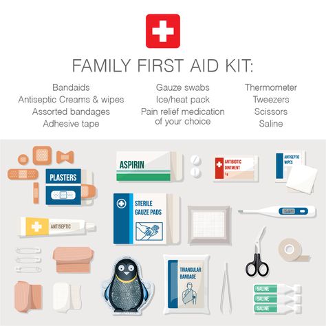 Simple First Aid Kit, First Aid Kit For Kids, First Aid Kit Checklist, Bag Contents, Mini First Aid Kit, Energy Consciousness, Kids Create, Medical Devices, Emergency Kit