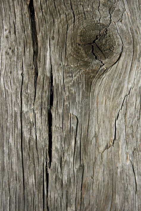 Old wood texture. Wood texture of an old tree suitable to use as a background #Sponsored , #AD, #SPONSORED, #texture, #background, #suitable, #wood Old Photo Texture, Rough Hewn Wood, Old Wood Texture, Photo Texture, Flyer And Poster Design, Old Tree, Raw Wood, Environment Design, Texture Background