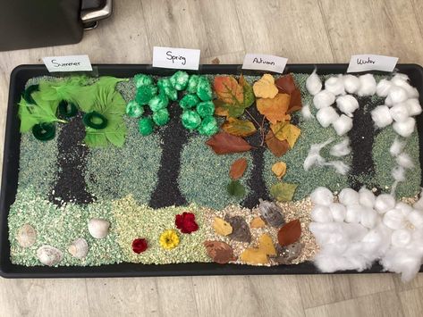 Sensory tray, tuff tray, sensory play, four seasons, fine motor development Seasons Tuff Tray, Sensory Tray, Fine Motor Development, Seasons Activities, Motor Development, Tuff Tray, Sensory Play, Fine Motor, Autumn Summer