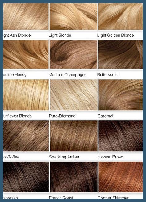 Blonde hair, light blonde, shade chart, brown, brunette, blonde Blonde Color Chart, Blonde Hair Color Chart, Which Hair Colour, Brunette Ombre, Honey Hair Color, Hair Blond, Fesyen Rambut, Brunette Balayage, Dyed Blonde Hair