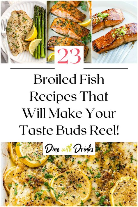 Collage of 4 broiled fish recipes. Striper Fish Recipes, Drum Fish Recipes, Broiled Fish Recipes, Grouper Fish Recipes, Steamed Fish Recipes, Sole Fish, Grouper Fish, Grilled Fish Recipes, Fish Dinner Recipes