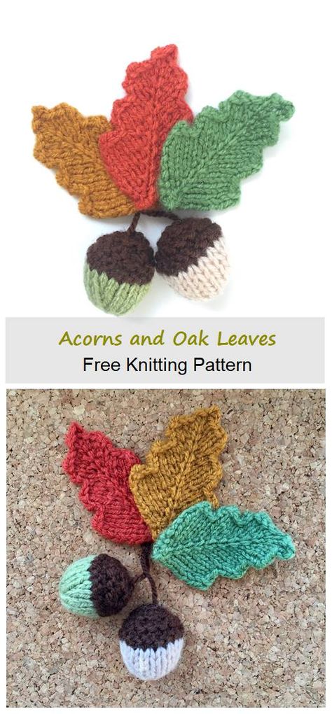 You can download Autumn Acorns and Oak Leaves Free Knitting Pattern for free Knitted Acorns Free Pattern, Knitted Acorn Pattern Free, Autumn Knitting Patterns Free, Knitted Leaves Free Pattern, Knitted Leaves, Leaf Knitting Pattern, Halloween Knitting Patterns, Autumn Knitting, Knitted Flower Pattern