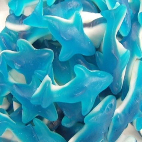 Beef Gelatin, Coconut Dream, Blue Shark, Shark Party, Foto Ideas Instagram, Phone Themes, Gummy Candy, Up Girl, Sea Animals