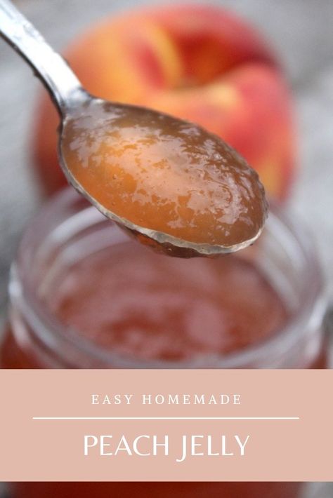 Homemade Peach Jelly ~ Recipe for canning or refrigerator preserves. Peach Jelly is easy to make at home, and it's a great way to use up extra peach peels or peach scraps. It can also be made from a few fresh peaches, yielding plenty of homemade peach preserves from just a few peaches. Homemade Peach Jelly, Peach Jelly Recipe, Picking Peaches, Homestead Canning, Canned Veggies, Making Jelly, Preserving Recipes, Peach Jelly, Canning Peaches