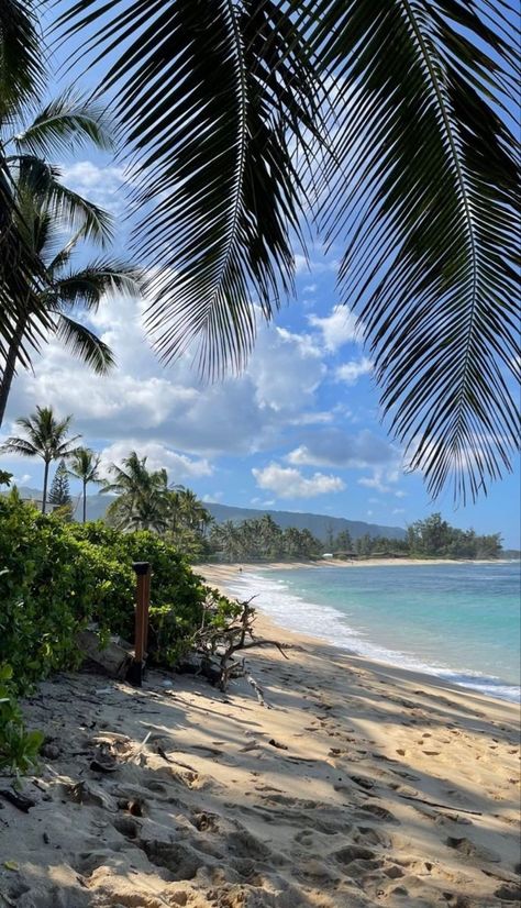 Aesthetic Coconut, Island Aesthetic, Paradise Wallpaper, Adventure Inspiration, Water Sea, Scenery Pictures, Lake Beach, Beach Water, Tropical Beaches