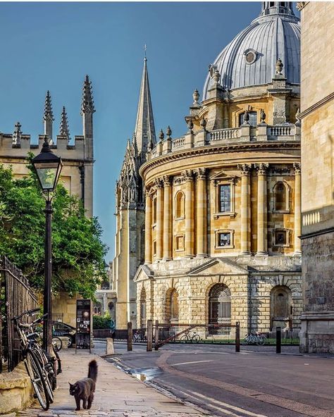 City Best Views🔝 on Instagram: “📍Oxford , United Kingdom 🇬🇧 💡Interesting facts : 🔸 The first colleges of Oxford were built way back in the 13th century but it wasn’t until…” Oxford Town, Radcliffe Camera, Oxford United Kingdom, Dream College, Oxford University, Tag Someone, City View, Barcelona Cathedral, 1 2 3