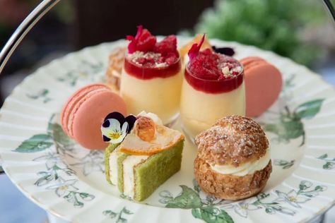 Afternoon Tea in Stroud, Gloucestershire | Burleigh Court Cotswolds Tetbury Cotswolds, Afternoon Tea Cotswolds, Chipping Campden Cotswolds, Cotswolds Hotels, Shaftesbury Dorset, Scarborough Town Centre, Valley View, Hotel Restaurant, Afternoon Tea