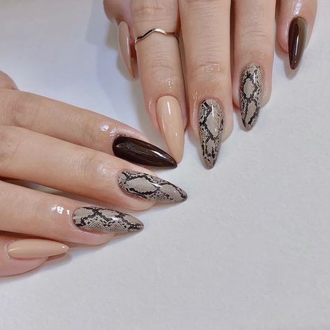 Reptile Nails, Snakeskin Nails, Snake Skin Nails, Nail Designs Coffin, Acrylic Nail Designs Coffin, Ethereal Dramatic, Western Nails, 2022 Nails, Nails Collection