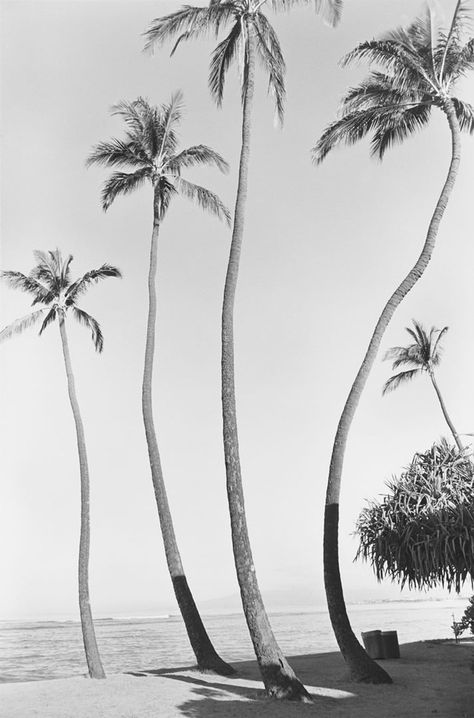 . California Dreaming, Summer Bucket Lists, Art And Illustration, Pics Art, Black & White, Summer Of Love, White Photography, Black And White Photography, Beach Life