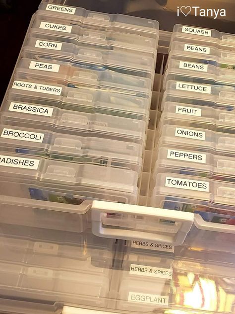 Seed Storage Organization, Seed Organization, Seed Organizer, Seed Library, Save Seeds, Saving Seeds, Dollar Tree Organization, Raised Vegetable Gardens, Seed Storage