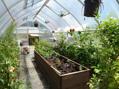 Conservatory Greenhouse, Heating A Greenhouse, Hobby Greenhouse, Indoor Greenhouse, Barn Style Doors, Herbs And Flowers, Small Greenhouse, Greenhouse Kit, Greenhouse Plans