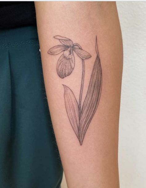 Pink Lady Slipper Flower Tattoo, Lady Slipper Tattoo Simple, Lady Slipper Flower Drawing, Lady Slipper Flower Tattoo, Pink Lady Slipper Tattoo, Showy Lady Slipper Tattoo, Lady Slipper Tattoo, Cathedral Window Tattoo, Loon Tattoo