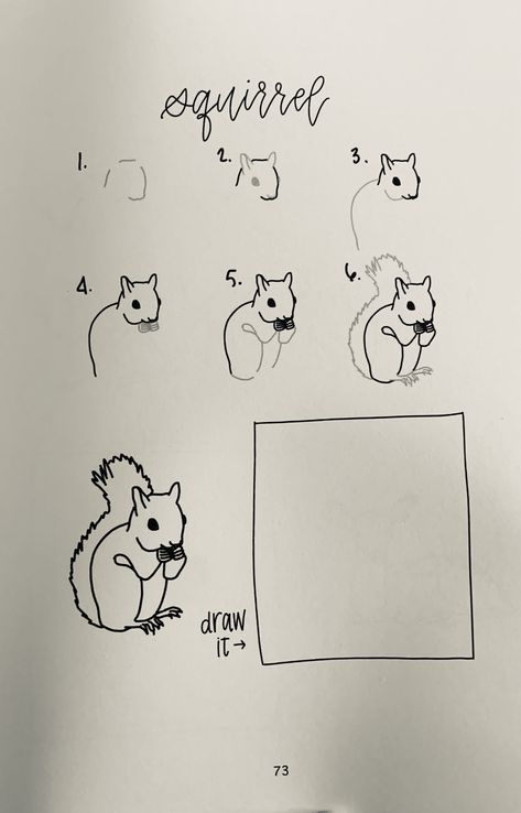 Animal Drawings Sketches Step By Step, Squirrel Drawing Easy, Squirrel Doodle, Squirrel Drawing, Easy Animal Drawings, Animal Drawings Sketches, Animal Doodles, Drawing Letters, Basic Drawing