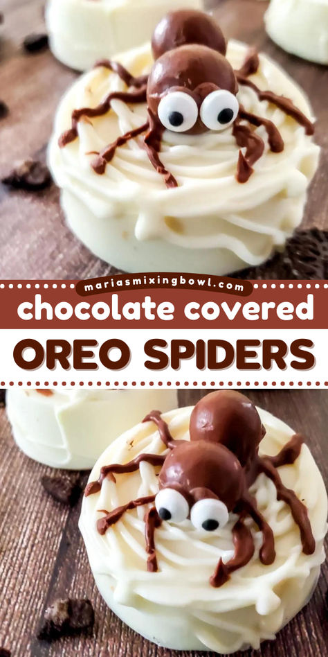 Learn how to make Chocolate Covered Oreo Spiders! Cute, spooky, and delicious, this spider Oreo recipe is a perfect Halloween treat for parties. Variations on this easy Halloween dessert included! Spiders Cute, Oreo Spiders, Oreo Recipe, Candy Corn Recipe, Family Desserts, Halloween Dessert, Healthy Sweet Snacks, Oreo Recipes, Malted Milk