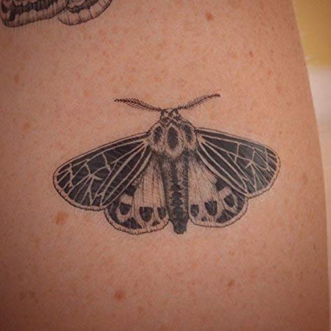 Tiger moth tattoo Tiger Moth Tattoo, Safety Pin Tattoo, Yakuza Tattoo, Tiger Moth, Moth Art, Moth Tattoo, Temp Tattoo, Architecture Art Design, Celebrity Tattoos