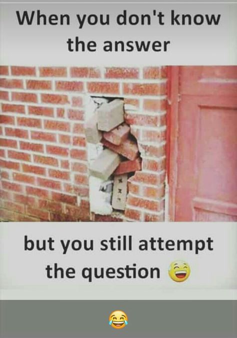 And clear the Samister 😂😂😂🤣🤣 Funny Student Quotes, College Jokes, Exams Memes, Design Seed, Exams Funny, Very Funny Memes, Exam Quotes Funny, School Jokes, Funny Statuses