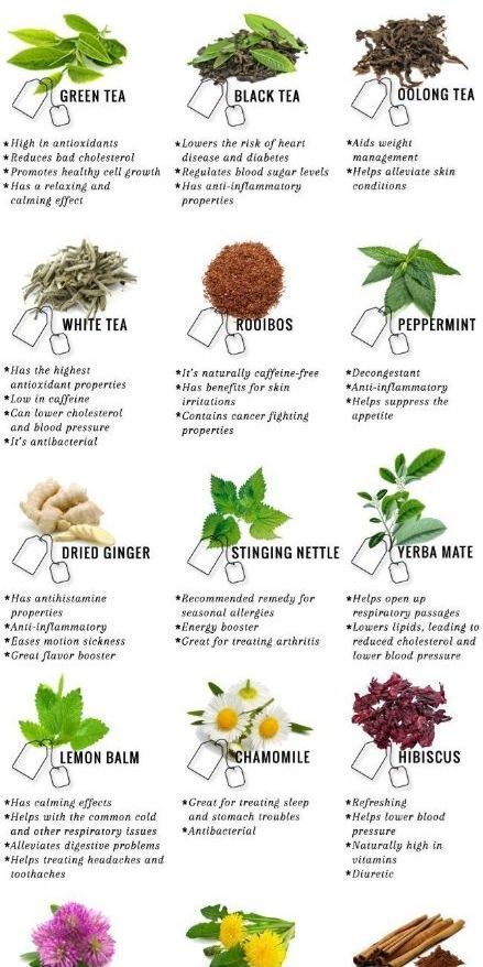 Energy Boosting Herbs, Herbs For Energy Boost, Diuretic Herbs, Herbs For Energy, Tea Blends Recipes, Herbal Remedies Recipes, Medicinal Herbs Garden, Medical Herbs, Herbal Healing