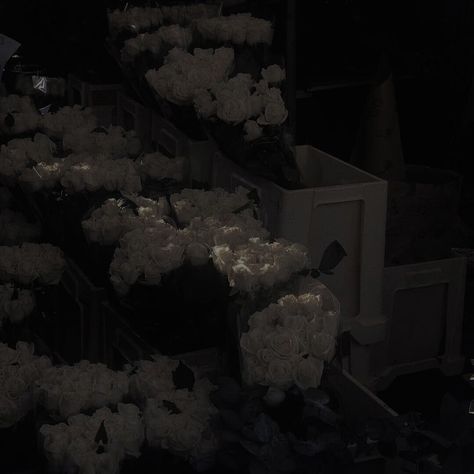 Flower Shop, A Flower, White Flowers, Black And White, Flowers, White, Black