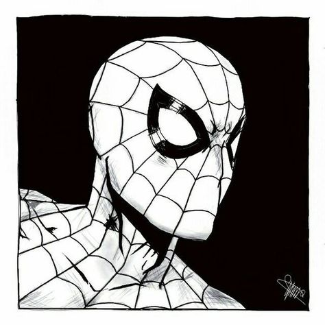 spider-man by Lightning-Stroke on DeviantArt Paolo Pantalena, Spiderman Stickers, Spiderman Poster, Marvel Paintings, Black And White Spider, Spiderman Drawing, Black Spiderman, Pen Art Drawings, Glowing Art