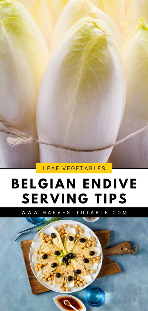 Belgian Endive Salad, Belgian Endive Recipes, Belgium Endive Recipes, Endive Salad Recipes, Endive Appetizers, Belgian Endive, Endive Recipes, Endive Salad, Lettuce Recipes