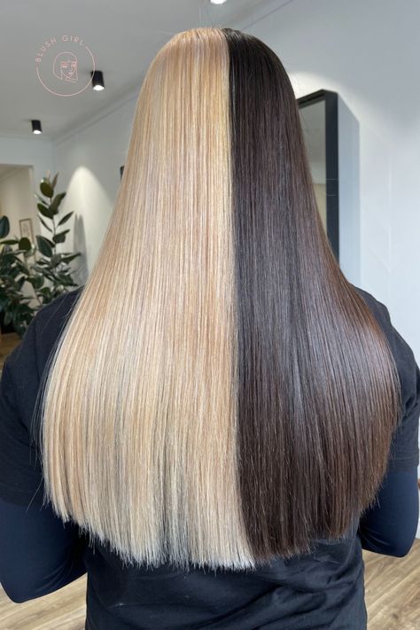 Block Dyed Hair Brown, Split Brown And Blonde Hair, Brown Blonde Split Hair, Dark Brown And Blonde Hair Split, Front Strand Of Hair Dyed, Brown Blonde Split Dye, Blond And Brown Split Dye, Blonde Brown Split Dye, Blonde And Brown Split Dye