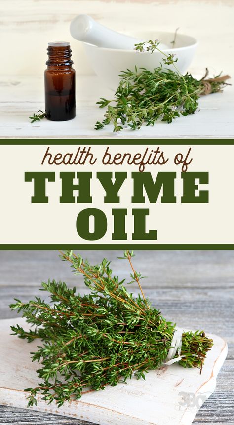 Thyme Oil Benefits, Cedarwood Essential Oil Uses, Benefits Of Thyme, Health Benefits Of Thyme, Thyme Benefits, Thyme Recipes, Thyme Essential Oil, Thyme Oil, Are Essential Oils Safe