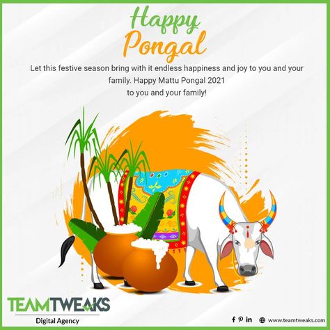 Showing gratefulness to the farm animals for their help in the production of crops. Wishing you prosperous Mattu Pongal 2022! #mattupongal #pongal2022 #celebration #festivalofjoy #agriculture #prosperity #teamtweaks Mattu Pongal, Asia Continent, Happy Pongal, Travel Journey, Celebrity Photography, High Fashion Editorial, Ancient Temples, Stunning Photography, Colorful Artwork