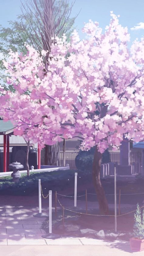 Anime Cherry Blossom, Yuumei Art, Cherry Blossom Wallpaper, Wallpaper Estetika, Scene Background, Iphone Wallpaper Hipster, Background Drawing, Beautiful Wallpapers Backgrounds, Tree Wallpaper