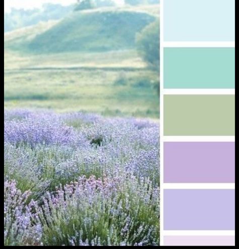 Lavender And Teal Color Palette, Lavender Mint Color Palette, Colors That Go Well With Lavender, Lavander Palette Color, Lavender Palette Colour Schemes, Lavender And Mint Color Palette, Lavender Blue Bedroom, French Blue And Lavender Wedding, Periwinkle Wedding Color Palette