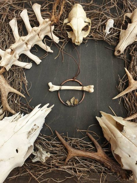 Diy Antler, Real Bone Jewelry, Animal Bone Jewelry, Festival Headpiece, Skull Crafts, Steampunk Crafts, Rust Patina, Taxidermy Art, Bone Crafts