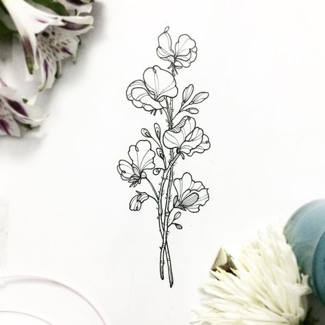 NATHALYBONILLA *tattoo* 🇻🇪 (@nathalybonilla) on Instagram: “Sweet peas flowers, as a very delicate yet strong memory of the love ones 🌿🌸…” Gardening Doodles, Tattoo Birth Flowers, Sweetpea Flower Tattoo, Sweet Peas Flowers, Pea Tattoo, Sweet Pea Tattoo, Sweet Pea Flowers, Daisy Tattoo, Birth Flower Tattoos