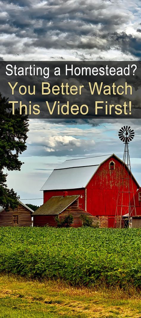 This video comes from a family that is in the thick of the homesteading experience. They offer a unique view of what it is to start and live on a homestead. Home Steading, Homestead 101, Quotes Toxic People, Homestead Inspiration, Quotes Toxic, Homestead Style, Urban Chicken Farming, Emergency Planning, Hobby Farming