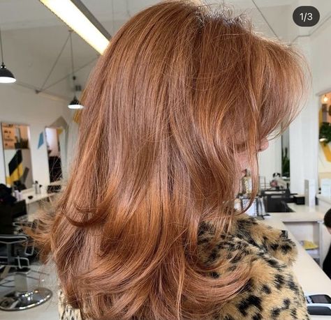 From Blonde To Red, Light Auburn Hair, Rambut Brunette, Strawberry Blonde Hair Color, Red Hair Inspo, Brown Hair Inspo, Ginger Hair Color, Hair Color Auburn, Strawberry Blonde Hair